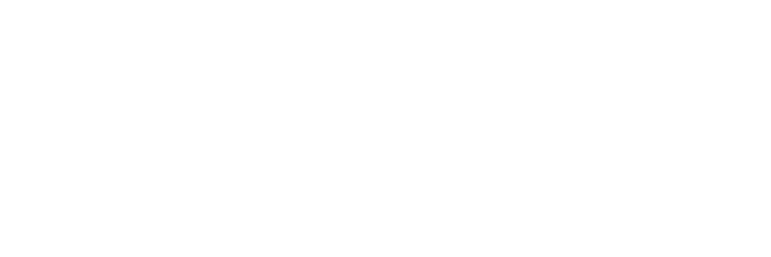 Logo-PNG-white